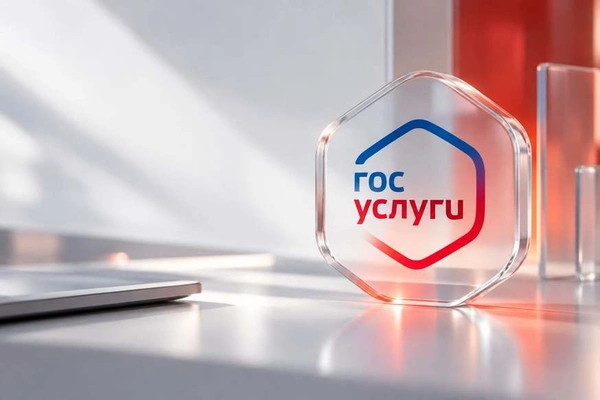 Обязательное подтверждение домена через Госуслуги с 1 сентября 2026 года